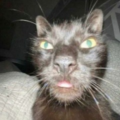 pmvixenly