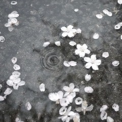 faithinyou⊹ ࣪ ౨₊