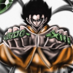 VEGITO XIII 金侍