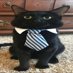 デッドリー Эвкалипт! —