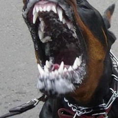 Titus