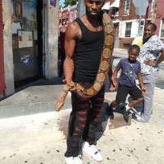 Mrextrodinary Fortune-Sparrow Lofton-batts