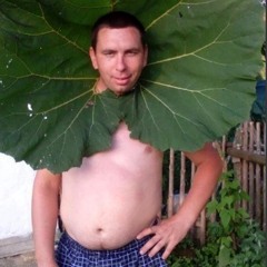 ПИдОР