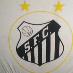 carlossantista703@gmail.com