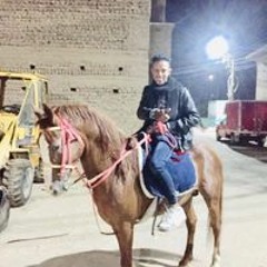 Abdullah Eldaby