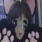 paw