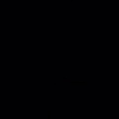sskl61