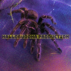 HALLOBUDDHA PRODUCTION