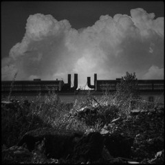 detritus