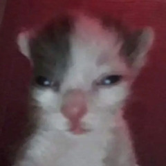 H3AV3N