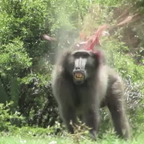 Everyone Is Their Own Worst Enemy - John V.