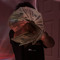 Bando