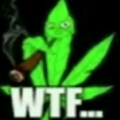 l1l pizdec g4ng
