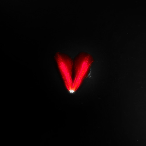 VersuzMade’s avatar