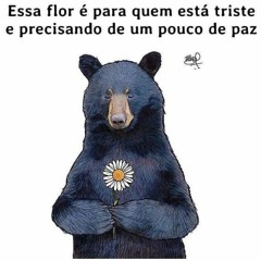 Diane Daiane Daia Dai🐻🦋🍁🍀🍃