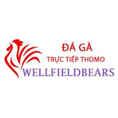 Đá Gà Trực Tiếp Thomo