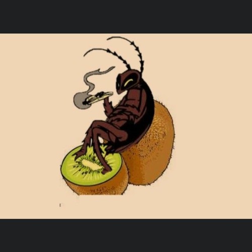Kiwi Roach’s avatar