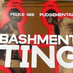 Bashmenttingnola