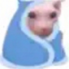 bingus