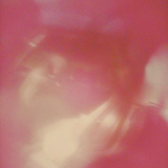 anr