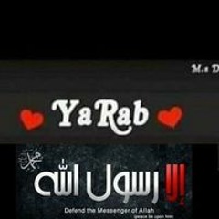 احمد ابو العلا