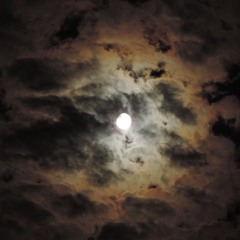 Yogi And The Ridiculous Ascetic (YATRA)