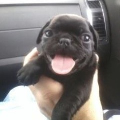 h6haw092719jsllaj7102#