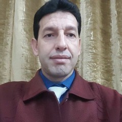 Fathi Gamal