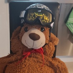 teddy