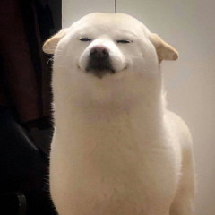 dappercris