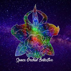 Space Orchid