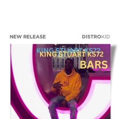 DistroKid Wheel of Playlist