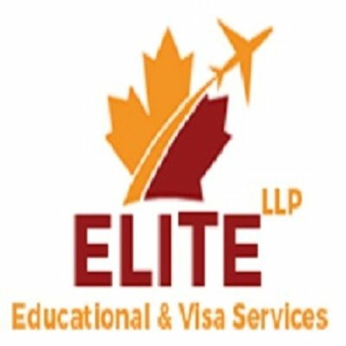 elite immigration’s avatar