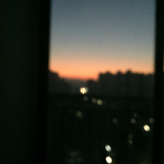 진희정