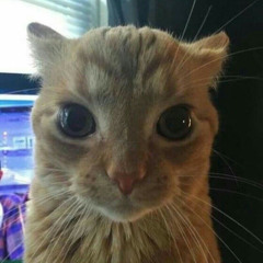 영원이