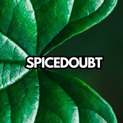 SpiceDoubt𓆙