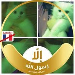 Asma Farid