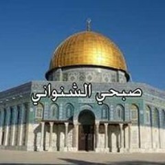 صبحى الشنوانى
