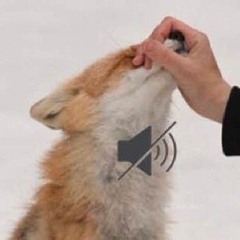 D∆V‽
