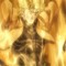 Dio Brando