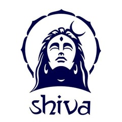 vahid shivaz