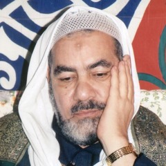 صلاح الدين القوصي