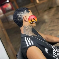bieelzim_crt