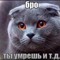 alk0n