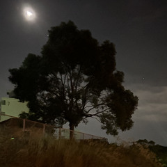 MADOLOMI