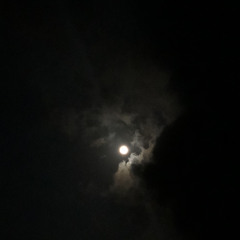 روح عمان