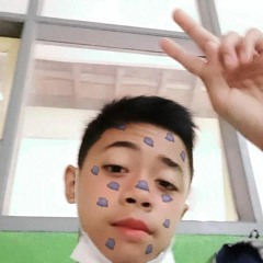 Salman Alfarizi Putra