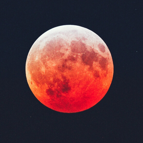 The Blood Moon’s avatar