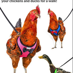 la_tonio