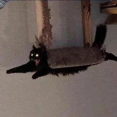 AMIGO_